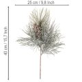 Artificial Pine Branch with Cones and Snow Effect, 40cm | Floristik24.co.uk