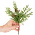 Artificial Pine Branches with Pinecones, 28cm, Set of 6 | Floristik24.co.uk