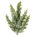 Floristik24 Artificial Snowy Pine Branch Set, 40cm, 3 Pieces