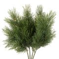 Floristik24 Artificial Pine Branches for Winter Decorations 40cm Set of 4

```html
<h2>Artificial Pine Branches for Indoor Winter Decorations</h2>
<p>
Add a touch of winter charm to your home with these artificial pine branches. Crafted from lightweight, green plasti