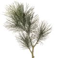 Floristik24 Artificial Pine Branch with Pine Cones 70cm – Decorative Table and Vase Arrangement