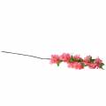 Floristik24 Cherry blossom branch artificial pink 103cm