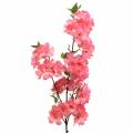Floristik24 Cherry blossom branch artificial pink 103cm