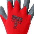 Floristik24 Kixx nylon garden gloves size 10 red, grey
