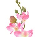 Floristik24 Small Orchid Phalaenopsis Artificial Flower Pink 30cm