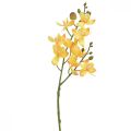 Floristik24 Small Orchid Phalaenopsis artificial yellow 30cm