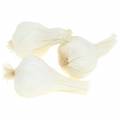 Floristik24 Garlic artificial cream 6cm 12pcs