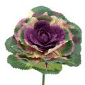 Floristik24 Artificial cabbage purple, green 25cm 6pcs