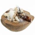 Floristik24 South Sea decoration coconut with shells 20cm 250g