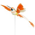 Floristik24 Hummingbird on the wire to plug Pink, Orange 17cm 6pcs