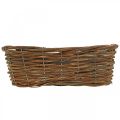 Floristik24 Basket for planting, floral decorations, natural wood basket L35cm 11.5cm