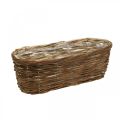 Floristik24 Basket bowl, planter, wooden basket for planting nature L41cm H13.5