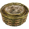 Floristik24 Basket round plant basket braided green wood Ø26/21/18cm set of 3