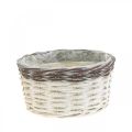 Floristik24 Decorative basket round for planting white, brown plant pot Ø20cm