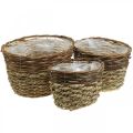 Floristik24 Natural basket for planting, basket decoration, plant bowls natural L21/19/16cm H21/19/16cm set of 3