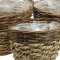 Floristik24 Natural basket for planting, basket decoration, plant bowls natural L21/19/16cm H21/19/16cm set of 3