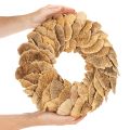 Natural Baumschwamm Wreath for Wall or Door Decoration, 37cm | Floristik24.co.uk