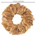 Natural Baumschwamm Wreath for Wall or Door Decoration, 37cm | Floristik24.co.uk