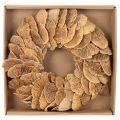 Natural Baumschwamm Wreath for