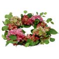 Floristik24 Wreath hydrangeas Ø60cm green, pink 1p