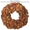 Natural Dried Lotus Wreath 35cm Brown for Home Decoration | Floristik24.co.uk