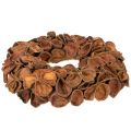 Natural Dried Lotus Wreath