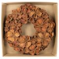 Natural Dried Lotus Wreath