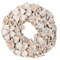 Floristik24 Natural Dried Lotus Flower Wreath 35cm for Indoor Decoration