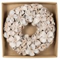 Natural Dried Lotus Flower