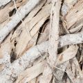40cm Whitewashed Twig Wreath – Natural Wooden Decoration for DIY and Home Styling | Floristik24.co.uk