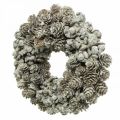 Floristik24 Deco wreath cones larch and cypress white, glitter Ø20cm 2pcs