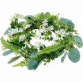 Floristik24 Artificial eucalyptus wreath with fern, cape daisies and jasmine, door wreath, decorative wreath, table decoration