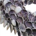 Floristik24 Shell wreath, violet chippy natural shells, ring made of shells Ø25cm