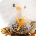 Floristik24 Chicks in the nest 8cm