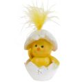 Floristik24 Chicks yellow in the egg 8cm - 12cm 4pcs