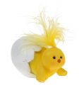 Floristik24 Chicks yellow in the egg 8cm - 12cm 4pcs
