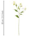 Künstlicher Gloriosa-Blütenzweig 80cm Weiß-Gelb, Set aus 3 für Dekoration | Floristik24.co.uk