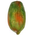 Floristik24 Artificial papaya 13cm and 14cm yellow, green 2pcs