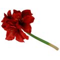 Artificial Amaryllis Christmas Flowers Red Artificial Flowers L40cm