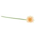 Floristik24 Artificial Flowers Gerbera Apricot 47cm