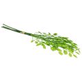 Floristik24 Artificial grass decorative quaking grass green 47cm bundle of 3 pieces