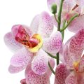 Floristik24 Artificial Orchid Pink White Artificial Flower Orchid 73cm