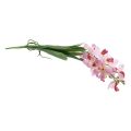 Floristik24 Artificial Orchid Pink White Artificial Flower Orchid 73cm