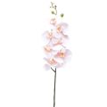 Floristik24 Artificial Orchid Pink Phalaenopsis Real Touch 83cm