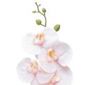 Floristik24 Artificial Orchid Pink Phalaenopsis Real Touch 83cm