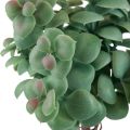 Floristik24 Artificial eucalyptus artificial plants for sticking 18cm 4pcs