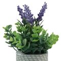 Floristik24 Artificial lavender in pot ceramic purple green H22cm