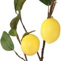 Floristik24 Artificial lemon branch decorative branch with 3 lemons yellow 65cm