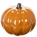 Ceramic Pumpkin LED Decoration