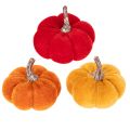 Floristik24 Velvet Mini Pumpkin Set, 5cm, 3 Colors, Pack of 12